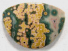 Ocean Jasper Cabochon