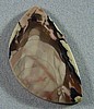 Carrasite Jasper