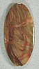 Carrasite Jasper