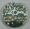 Ocean Jasper Cabochon