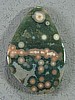 Ocean Jasper Cabochon
