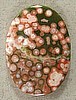 Ocean Jasper Cabochon