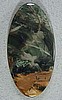 Morrisonite Jasper