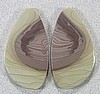 Willow Creek Jasper - Earring pair