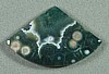 Ocean Jasper Cabochon