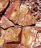 Hidden Valley Jasper