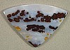 Polk-a-dot Agate Cabochon