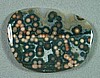 Ocean Jasper Cabochon