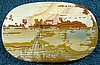 Owyhee Picture Jasper