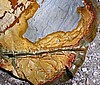Rocky Butte Picture Jasper Rough