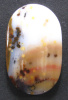 Polka Dot Agate Cabochon