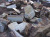 Cripple Creek Picture Jasper