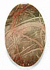 Carrasite Jasper Cabochon