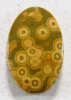 Kamambi Ocean Jasper Cabochon